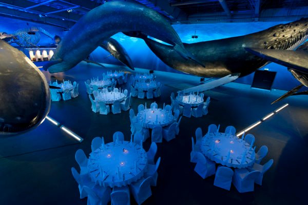 Atlantik DMC PCO Incentive Events Iceland Conference (1) Atlantik DMC PCO Incentive Events Iceland Conference (1)